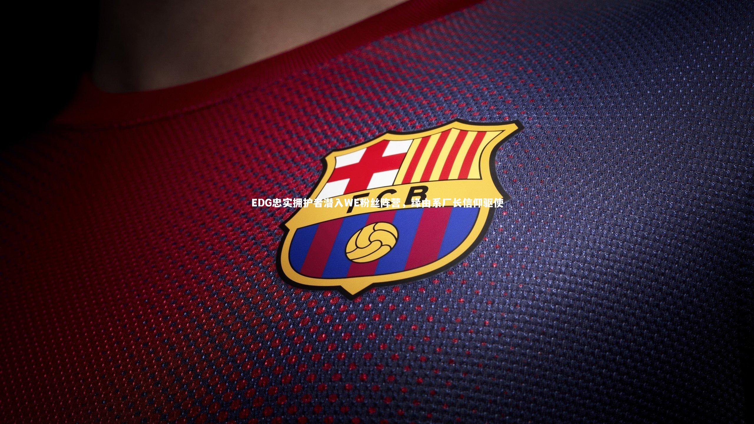EDG忠实拥护者潜入WE粉丝阵营,缘由系厂长信仰驱使