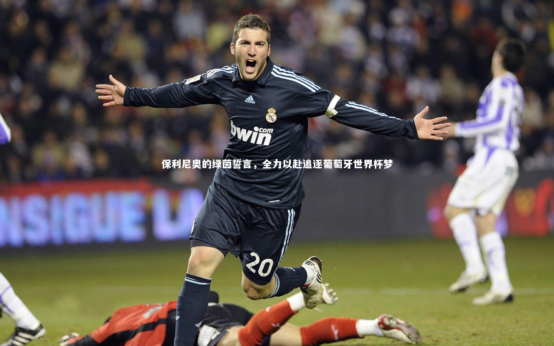 保利尼奥的绿茵誓言，全力以赴追逐葡萄牙世界杯梦