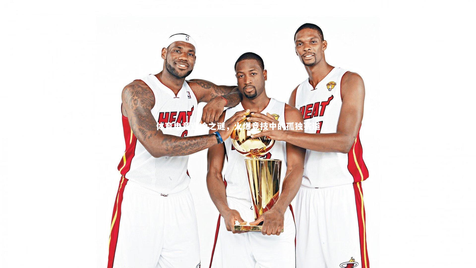 体育电竞遇冷之谜,火爆竞技中的孤独赛道